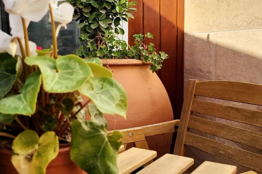 Appartamento Vintage & Deluxe *