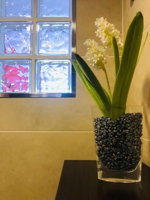 Appartement Vintage & Deluxe